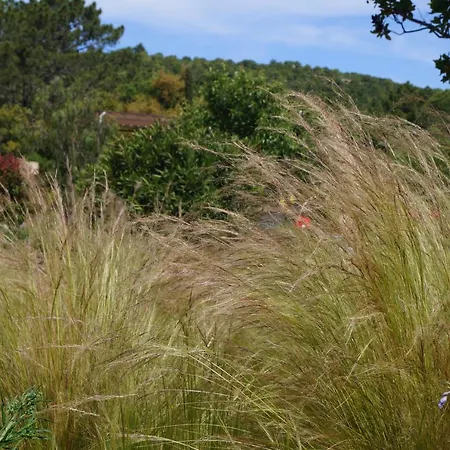 Les Jardins De Santa Giulia - Charmante Dhte Πανσιόν 3*