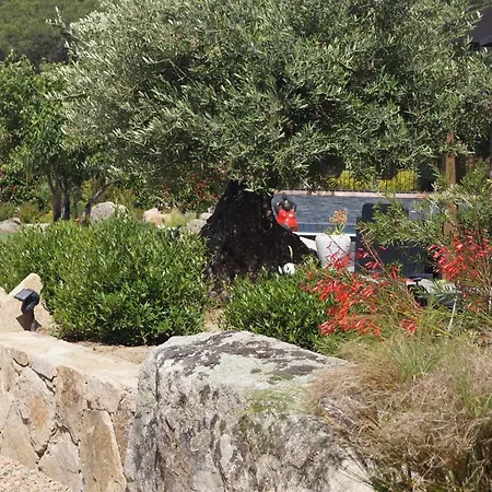 Les Jardins De Santa Giulia - Charmante Dhte 3* Porto Vecchio