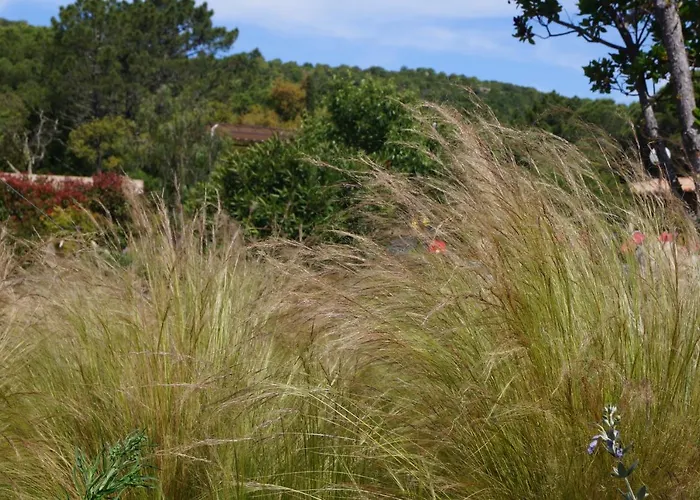 Les Jardins De Santa Giulia - Charmante Dhte Penzion 3*
